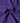 Dolce & Gabbana Purple Lace Stole Cotton Wrap Shawl Scarf