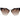 Police Brown Plastic Sunglasses
