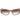 Trussardi Beige Acetate Sunglasses