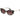 Scotch & Soda Multicolor Acetate Sunglasses