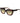 Scotch & Soda Multicolor Acetate Sunglasses