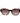 Trussardi Brown Acetate Sunglasses