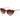 Ted Baker Multicolor Acetate Sunglasses