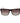 Trussardi Brown Acetate Sunglasses