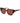 Trussardi Brown Acetate Sunglasses