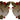 Dolce &amp; Gabbana Elegant Round Rose-Embellished Sunglasses