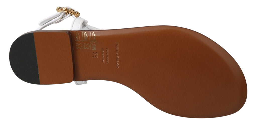 Dolce & Gabbana White Leather Coins Flip Flops Sandals Shoes Dolce & Gabbana 